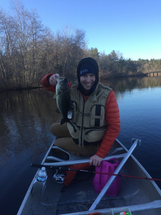 Photo of Bass Caught by Ronald  with Mepps Comet Mino in Massachusetts