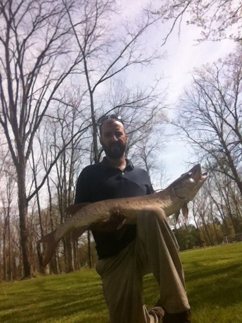 Photo of Musky Caught by Shannon with Mepps Aglia Marabou in Ohio