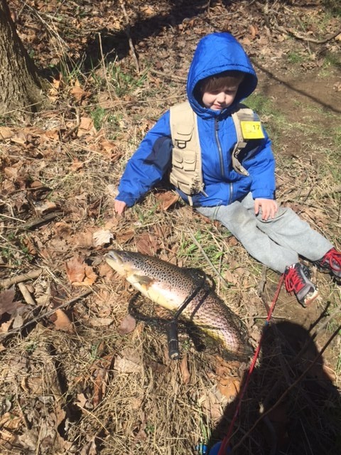 Photo of Trout Caught by Louis  with Mepps Comet Mino in Pennsylvania
