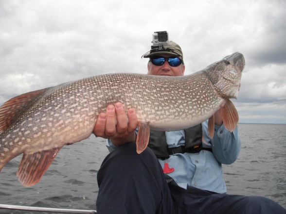 Photo of Pike Caught by Michael with Mepps Aglia & Dressed Aglia in United States