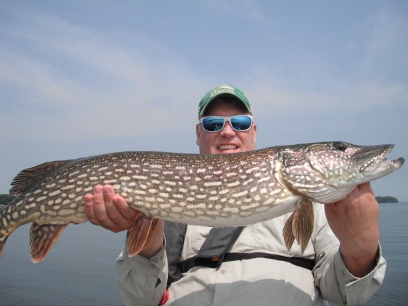 Photo of Pike Caught by Michael with Mepps Aglia & Dressed Aglia in Minnesota
