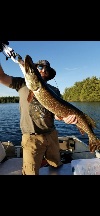 Photo of Pike Caught by Matt with Mepps Double Blade Aglia in Canada