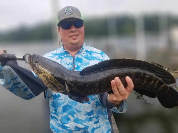 Photo of Snakehead Caught by Nick with Mepps Aglia Marabou in Maryland