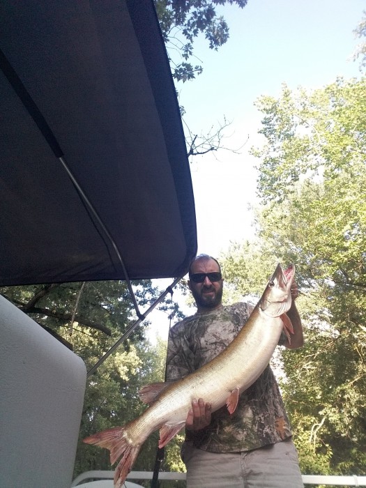 Photo of Musky Caught by Shannon with Mepps Musky Killer in Ohio
