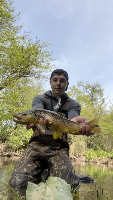Photo of Trout Caught by Ayden with Mepps Aglia & Dressed Aglia in Pennsylvania