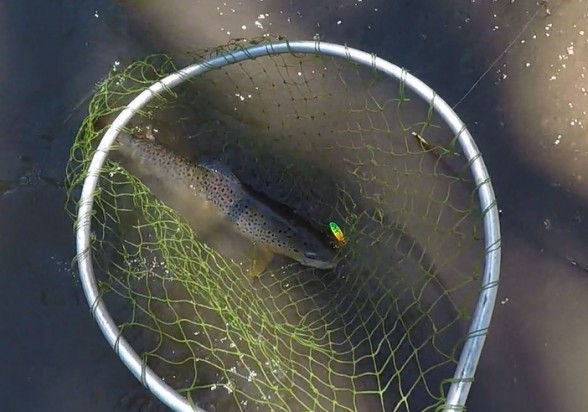 Photo of Trout Caught by Allan with Mepps Comet TRU-V in Iowa