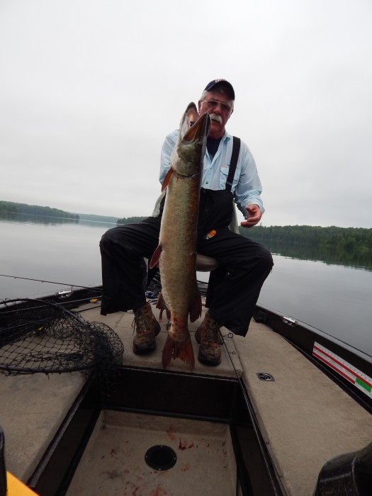 Photo of Northern Pike, Smallmouth Bass and Walleye Caught by DENNIS with Mepps Aglia & Dressed Aglia in Ontario