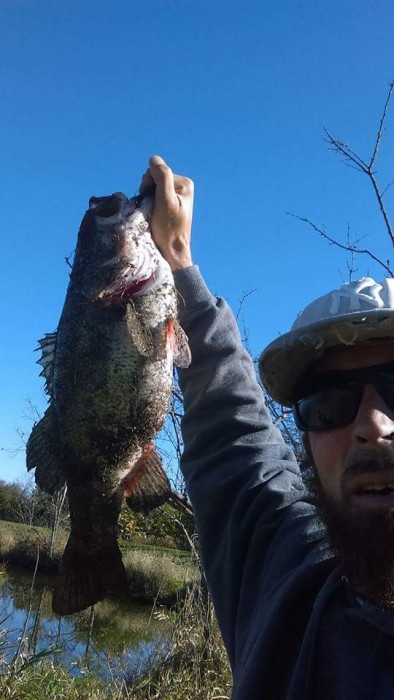 Photo of Bass Caught by Michael with Mepps Aglia & Dressed Aglia in Ohio