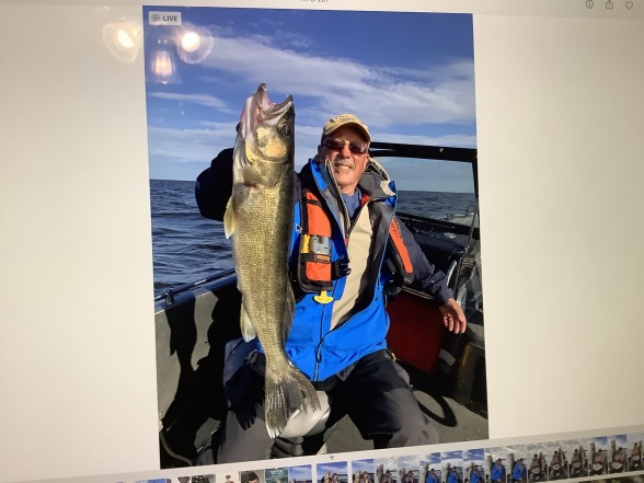 Photo of Walleye Caught by David with Mepps Crawler Harness in Minnesota