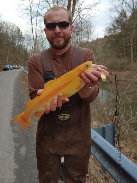Photo of Trout Caught by Cody with Mepps Aglia BRITE in United States