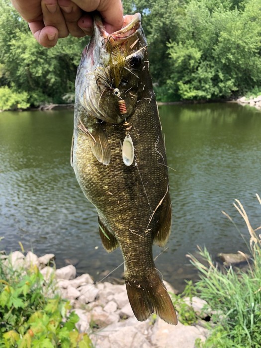 Photo of Bass Caught by Allan with Mepps Aglia Streamer in Iowa