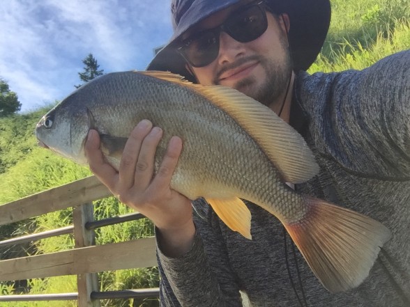 Photo of Freshwater Drum (Sheepshead) Caught by Tyler with Mepps Aglia BRITE in Michigan