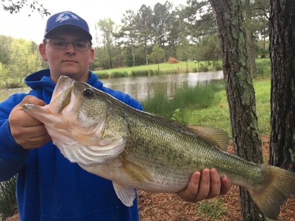 Photo of Bass Caught by Hayden with Mepps Aglia & Dressed Aglia in Georgia