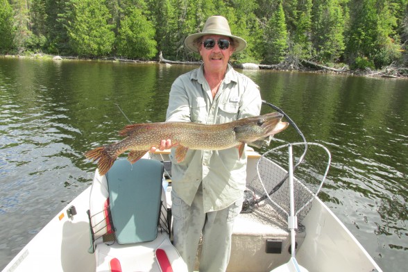 Photo of Pike Caught by Timothy with Mepps Aglia & Dressed Aglia in Ontario