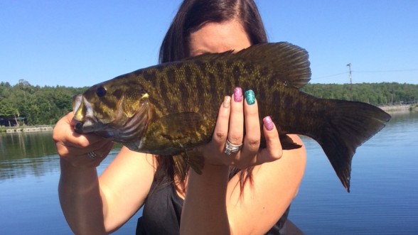 Photo of Bass Caught by Jessica with Mepps Comet Mino in New York