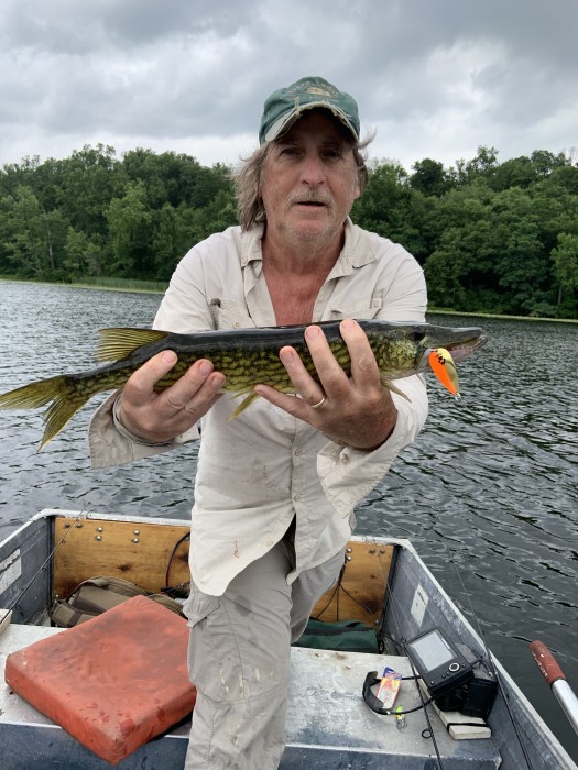 Photo of Pickerel Caught by John with Mepps Little Wolf in New Jersey