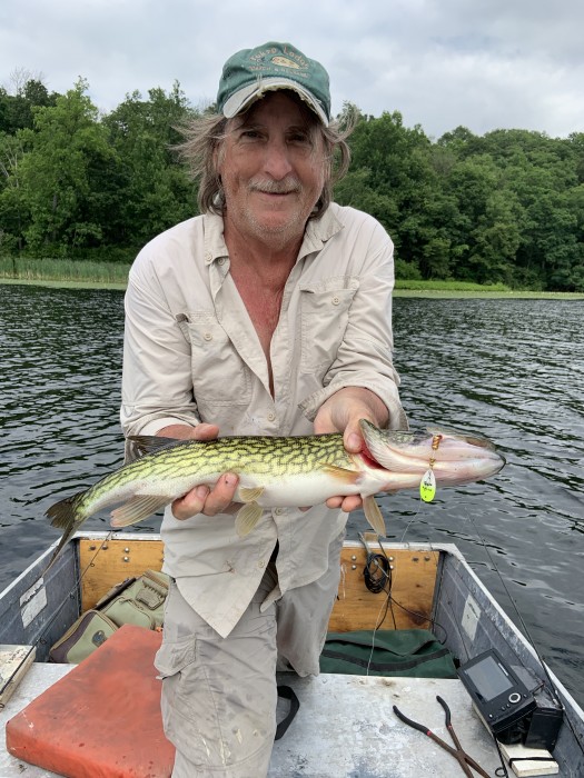 Photo of Pickerel Caught by John with Mepps Aglia & Dressed Aglia in New Jersey