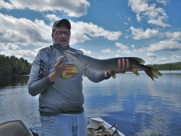 Photo of walleye Caught by Mike with Mepps Syclops in Ontario