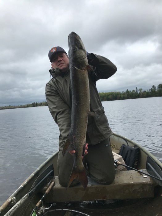 Photo of Musky Caught by Chris with Mepps Mepps Marabou in Wisconsin