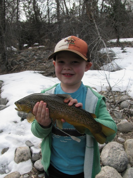 Photo of Trout Caught by Elliott with Mepps Thunder Bug in Wyoming