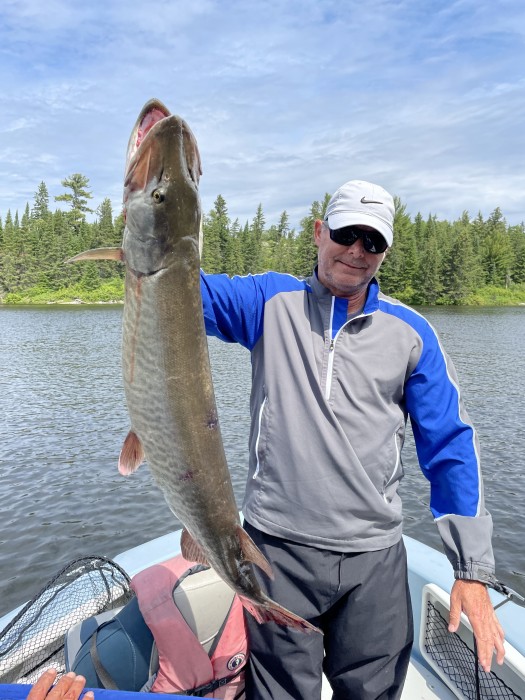 Photo of Musky Caught by Mark with Mepps Musky Marabou in Ontario
