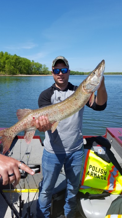 Photo of Musky Caught by Adam with Mepps Syclops in Minnesota