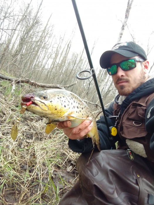 Photo of Trout Caught by Storm with Mepps Aglia & Dressed Aglia in Michigan