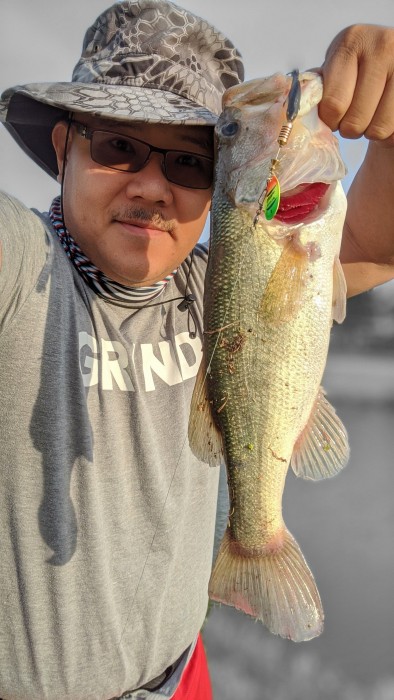 Photo of Bass Caught by Vinh with Mepps Comet Mino in Texas