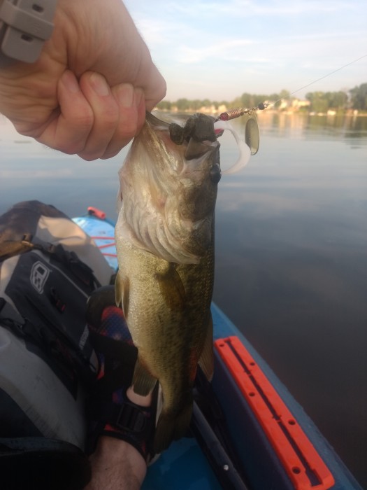 Photo of Bass Caught by Jeston with Mepps Comet Combo in Wisconsin
