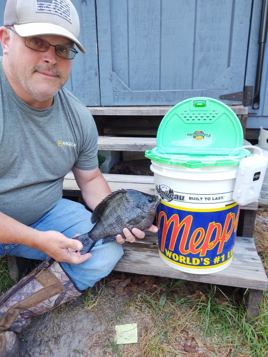 Photo of Bluegill Caught by Andy with Mepps Aglia Bait Series in North Carolina