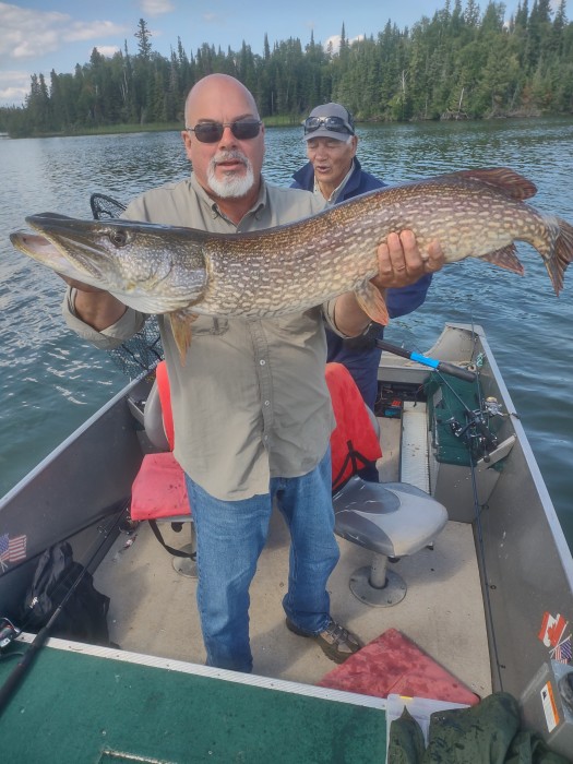 Photo of Pike Caught by Terry with Mepps Syclops in Manitoba