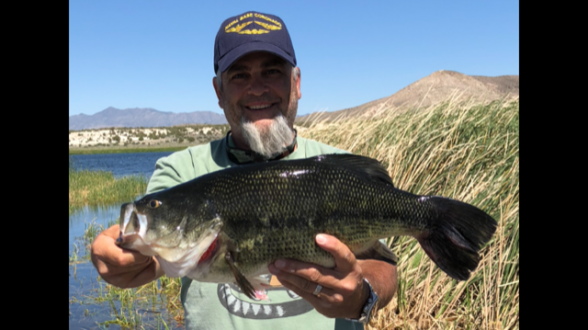 Photo of Bass Caught by Gerald with Mepps Aglia & Dressed Aglia in Nevada
