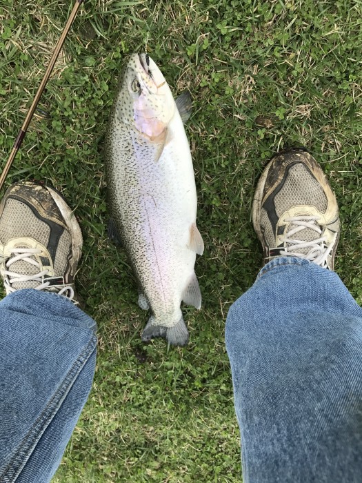 Photo of Trout Caught by John with Mepps Thunder Bug in Illinois