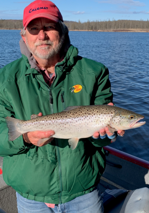 Photo of Trout Caught by GARY with Mepps Double Blade Aglia in Michigan