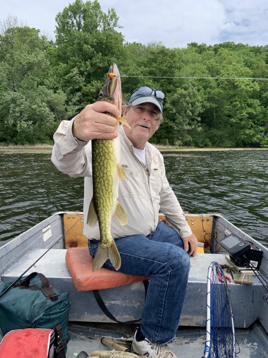 Photo of Pickerel Caught by John with Mepps Aglia Long in United States