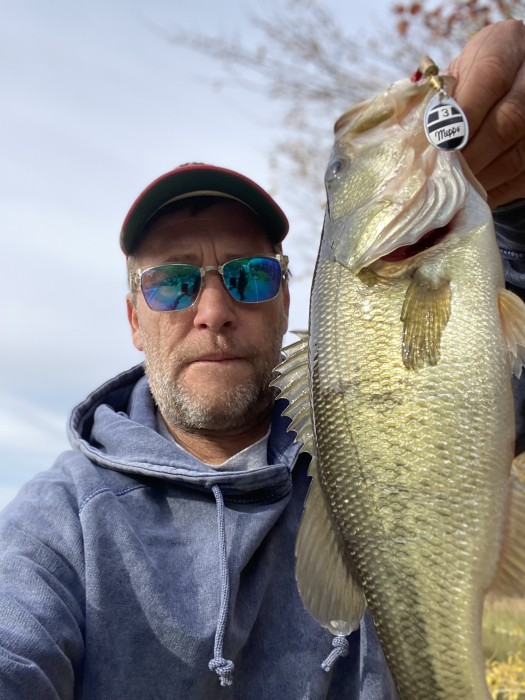Photo of Bass Caught by Brad with Mepps Aglia & Dressed Aglia in Illinois