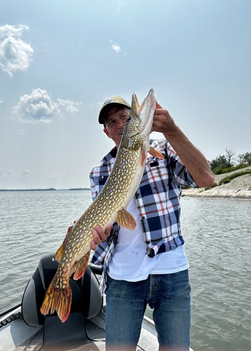 Photo of Pike Caught by Michael with Mepps Musky Killer in Ontario