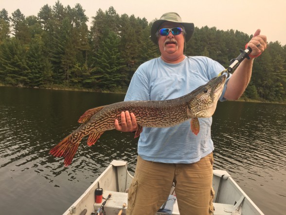 Photo of Pike Caught by Terry with Mepps Comet Mino in Minnesota