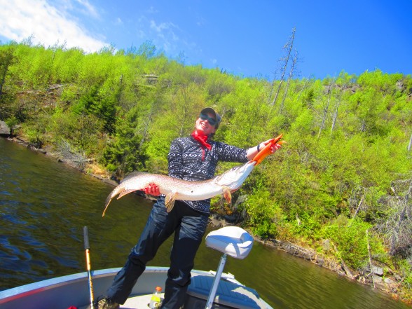 Photo of Pike Caught by Erin with Mepps Aglia & Dressed Aglia in Ontario