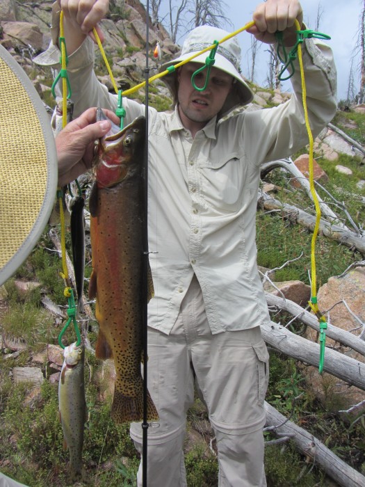 Photo of Trout Caught by Joshua with Mepps Aglia BRITE in Montana