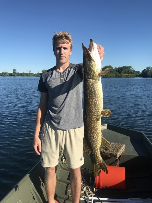 Photo of Pike Caught by Chris with Mepps Aglia Long in United States