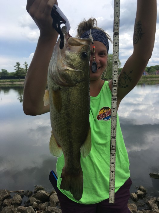 Photo of Bass Caught by Lauren with Mepps Double Blade Black Fury in United States