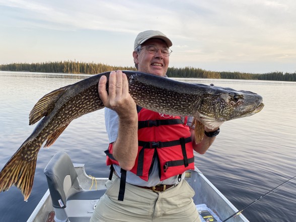 Photo of Pike Caught by John with Mepps Aglia & Dressed Aglia in Ontario