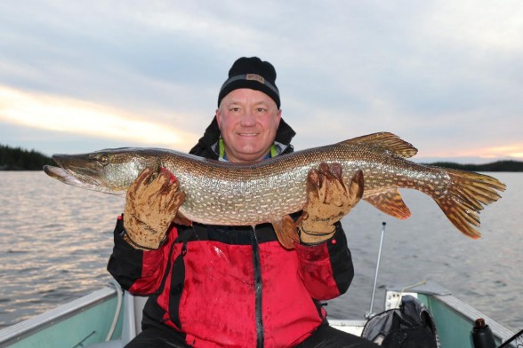Photo of Pike Caught by Steven with Mepps Black Fury in Ontario