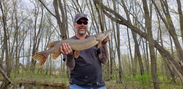 Photo of Pike Caught by Kip with Mepps Aglia Bait Series in Wisconsin