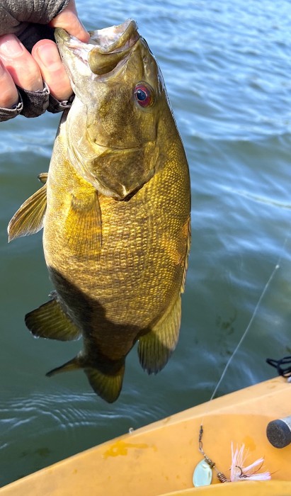 Photo of Bass Caught by Jim with Mepps Aglia & Dressed Aglia in Wisconsin