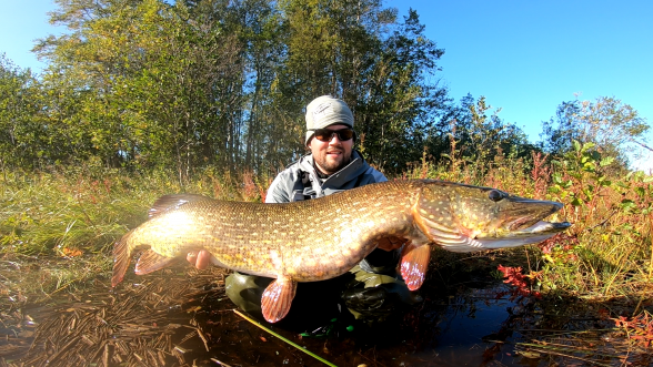 Photo of Pike Caught by Juho with Mepps  in Finland