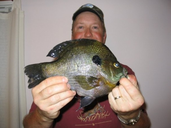 Photo of Bluegill Caught by Doug with Mepps Mepps Marabou in Iowa