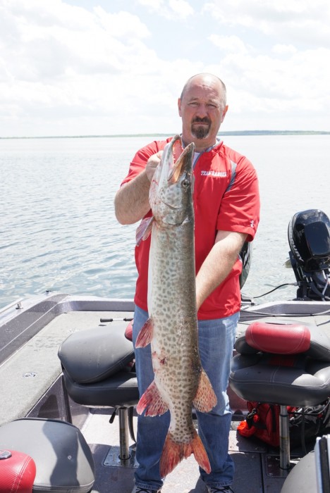 Photo of Musky Caught by Rick with Mepps Syclops in Minnesota