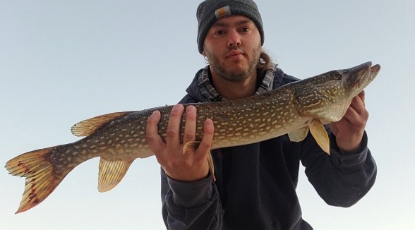 Photo of Pike Caught by Alex with Mepps Aglia Long in Wisconsin